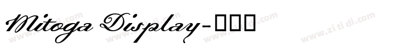 Mitoga Display字体转换